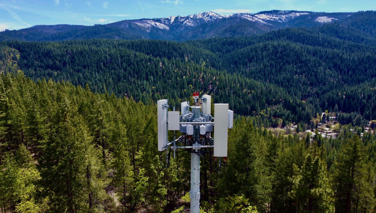 Telecom tower inspection above pine forest